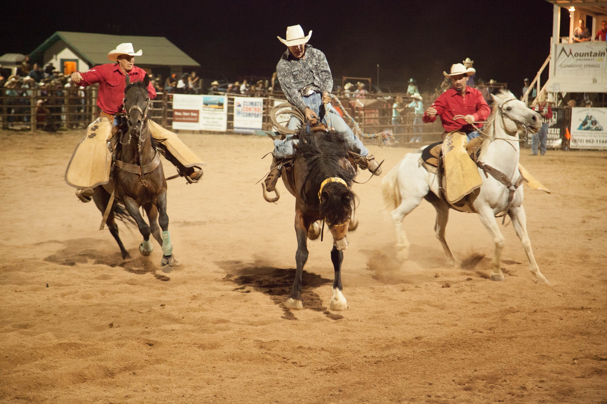 Cody Griebel photo of Ranch Bronc